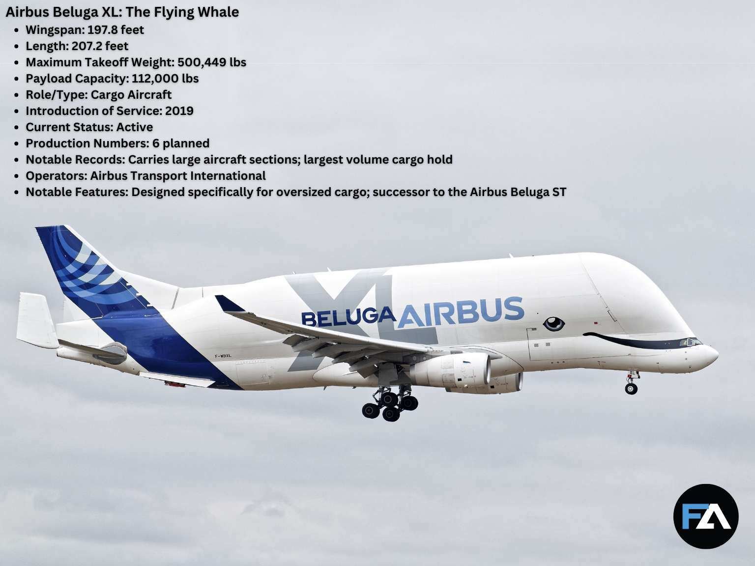 Biggest planes_ Airbus Beluga XL